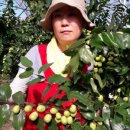 성리농장 이미지