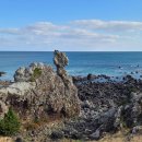 주홍목장 이미지