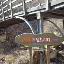 솔바람교 옹달샘 이미지