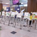 분당도서관 시청각실 이미지