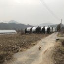 천동리목장 이미지