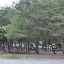 도원패밀리캠핑장 이미지