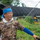 조미경농장 이미지