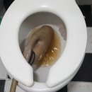 소사로808번길 이미지