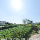 군산시-00082 이미지