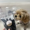 하누동물병원 이미지