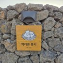 막다른둥지