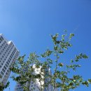 도두머리공원 이미지