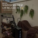나주 헤드스파 나주혁신도시 두피관리 시나움 헤드스파