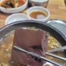 덕산의원 | 예산군 덕산온천 근처 줄서는 유명한 해장국 맛집 [뜨끈이집] 방문 솔직 후기!!