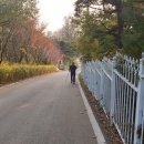 성진농원민박 이미지