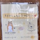 디어포우 이미지