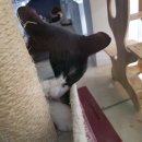 리즈동물병원 이미지