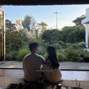 폴개우영 | 제주에서 강력하게 추천하는 숙소 폴개우영 (내돈내산)(예약성공팁)