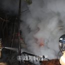 세계로카센타 이미지