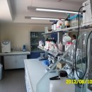 카페도가 이미지