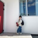 스테이 플랑 이미지