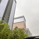 동문치과의원 | 광화문 더스퀘어치과 추천!