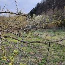 종합농장 이미지