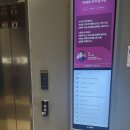 헬리오스 | 올라인의원, 헬리오스785 레이저 후기