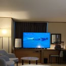 비지니스 돈 호텔 | 대전 호텔인터시티 스위트 트윈 객실 원정숙소 비지니스 호텔 후기