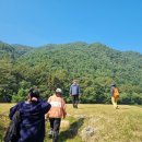 서하체육공원 이미지