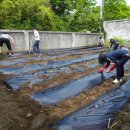 무을초등학교 이미지