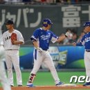 안타코리아 이미지