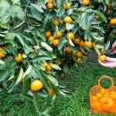 윤성만 농장 이미지