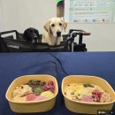 (주)이노브릿지 | 2025 하반기 메가주 케이펫페어 일산 리뷰, 방문 후기, 구매 목록, 주차 팁