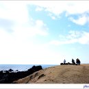 신천목장 이미지