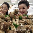 대풍유통 연합뉴스