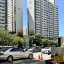 무아몽 해운대 강아지 애견미용 이미지