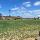 신도2리 마을회관 이미지