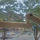 스마일러치과의원 이미지