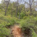 검암산(정상) 이미지