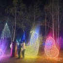 우미가든 | 애둘이랑 1박2일 여행, 더스테이힐링파크 와일드가든 / 별빛정원 야경 / 우미닭갈비