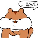 휴먼 크리닝 이미지