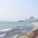 [피서 성지 순례] 부산 해운대~동백섬~송정 바다 산책 (누리마루, 달맞이고개, 문텐로드, 청사포) 이미지