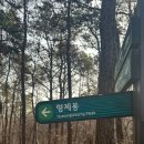 백운농장 | 광교산 등산코스 초보 형제봉, 백운농장 맛집 후기