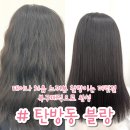 삼우빌딩 | 대전 복구매직 블랑 | 도저히 안 말려지던 머리 복구매직으로 살아난 후기