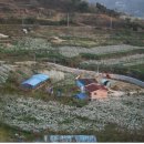 대남농장 이미지