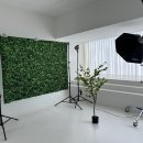 빛모이 | 울산 커플 스냅 모이스튜디오