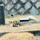 우와빈 | 12월 포토덤프