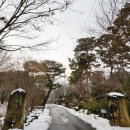 명봉산솔밭관광농원오토캠핑장 이미지