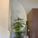 레스트랙트(RESTRACT) 이미지