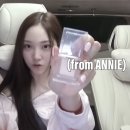 애니셀프 이미지