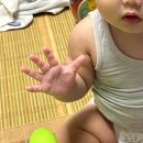 탁림