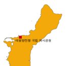 태평양