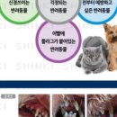 마루덴탈 이미지